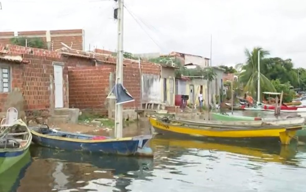 Moradores de comunidades ribeirinhas no norte da BA saem de casa após cheia do Rio São Francisco — Foto: Reprodução/TV Bahia