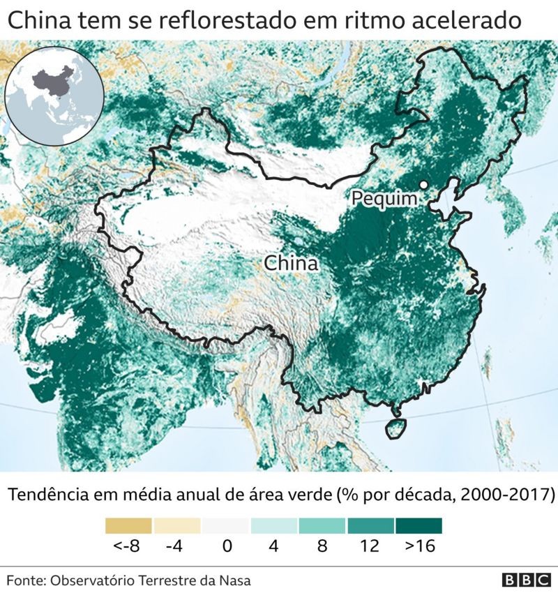 Reflorestamento na China (Foto: BBC News)