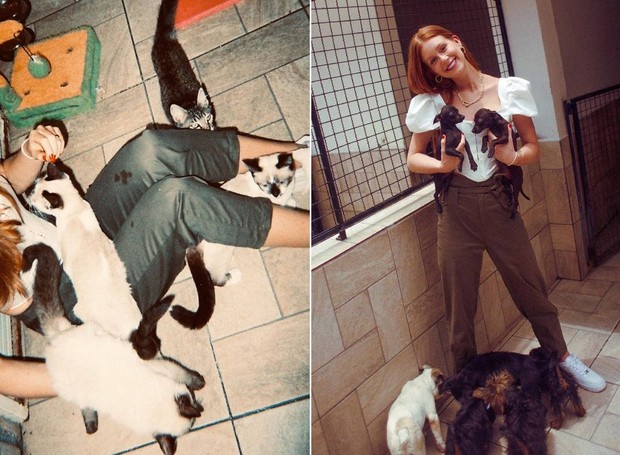 Marina Ruy Barbosa com animais que estão para serem adotados (Foto: Instagram/ @marinaruybarbosa/ Reprodução)