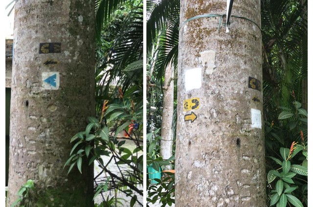 Sob comando de Ricardo Salles, ICMBio destrói sinalização de trilha que vai do RJ ao RS