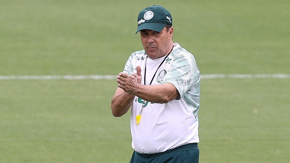 Palmeiras Pagara R 54 Mil Por Mes A Marcelinho Carioca Em Acao Do Ex Meia Contra Luxemburgo Palmeiras Ge