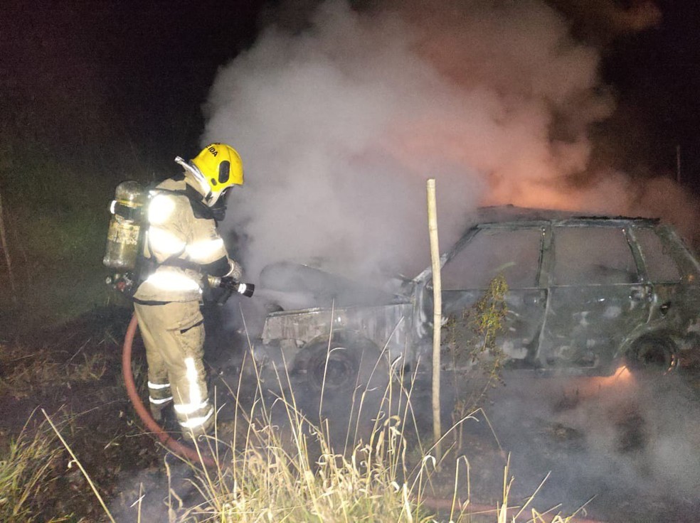 Condutor não soube informar o estado de saúde do cavalo após a batida, pois o mesmo fugiu — Foto: Corpo de Bombeiros/Divulgação