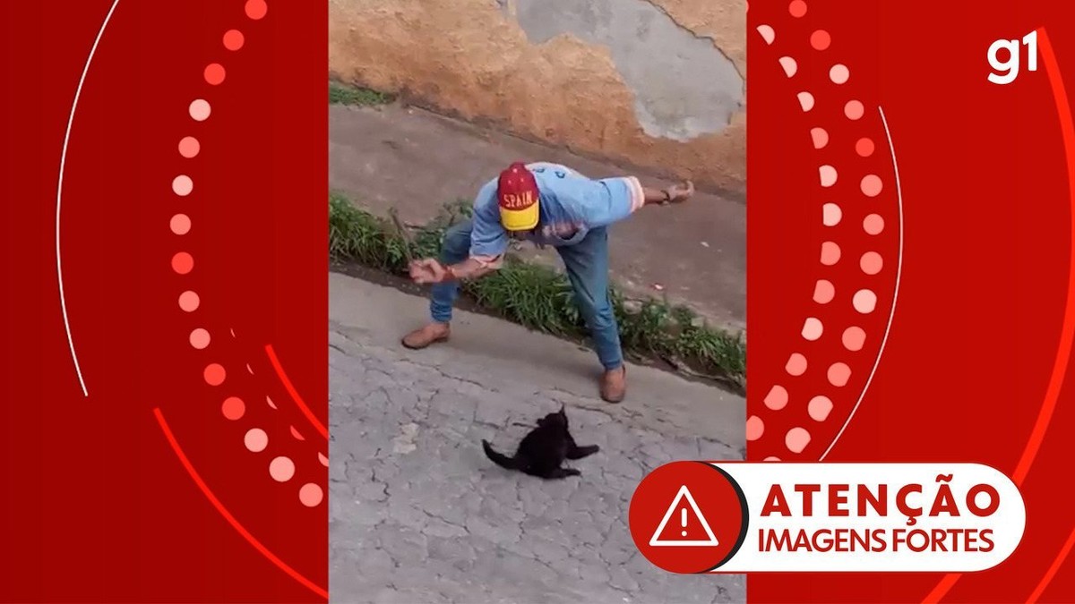 Homem é Suspeito De Espancar Gato Até A Morte Em Itabirito Na Região