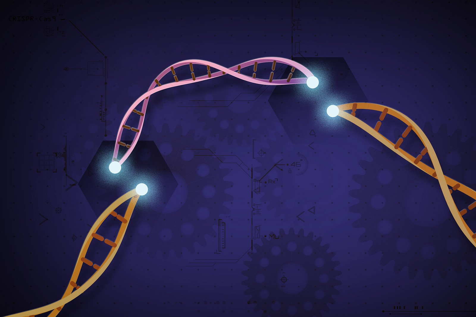 Representação artística do Crispr-Cas9 (Foto: Flickr/Ernesto del Aguila III, National Human Genome Research Institute, NIH/Creative Commons)