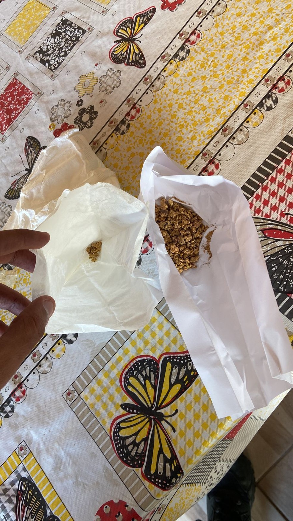 Pedaços de ouro encontrados pela PF na casa do investigado  — Foto: PF/ Reprodução