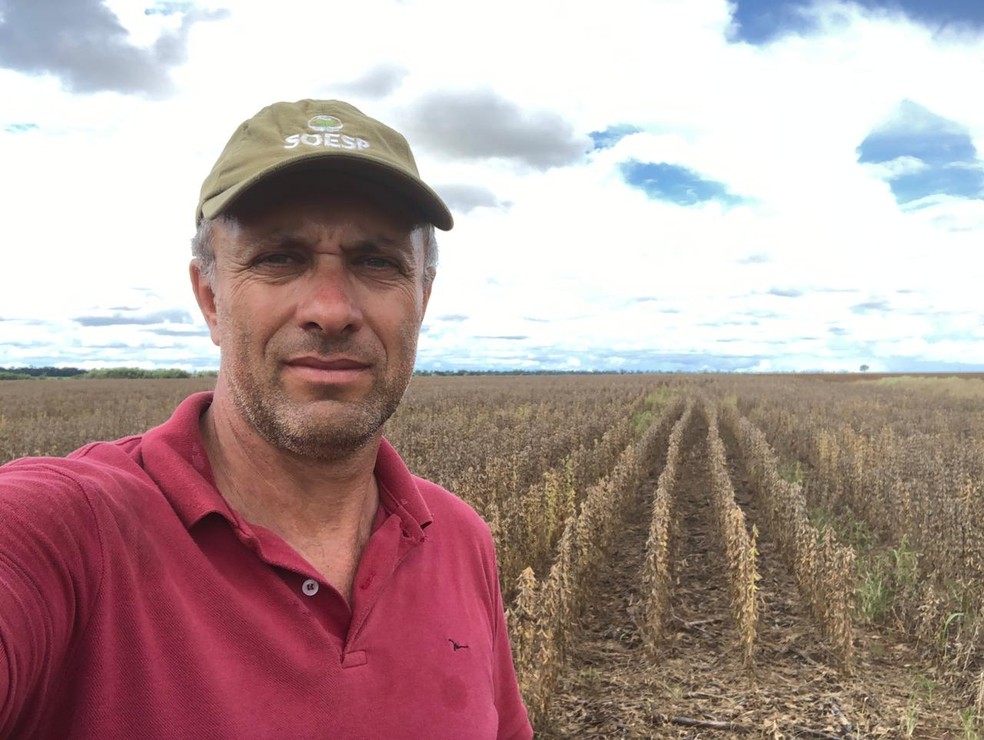 Plantio do milho atrasou 45 dias na propriedade de Zilto Donadello — Foto: Arquivo pessoal