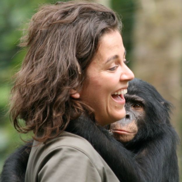 Isabel Behncke estudou o comportamento de bonobos, nossos parentes evolutivos (Foto: GENTILEZA ISABEL BEHNCKE, via BBC News Brasil)