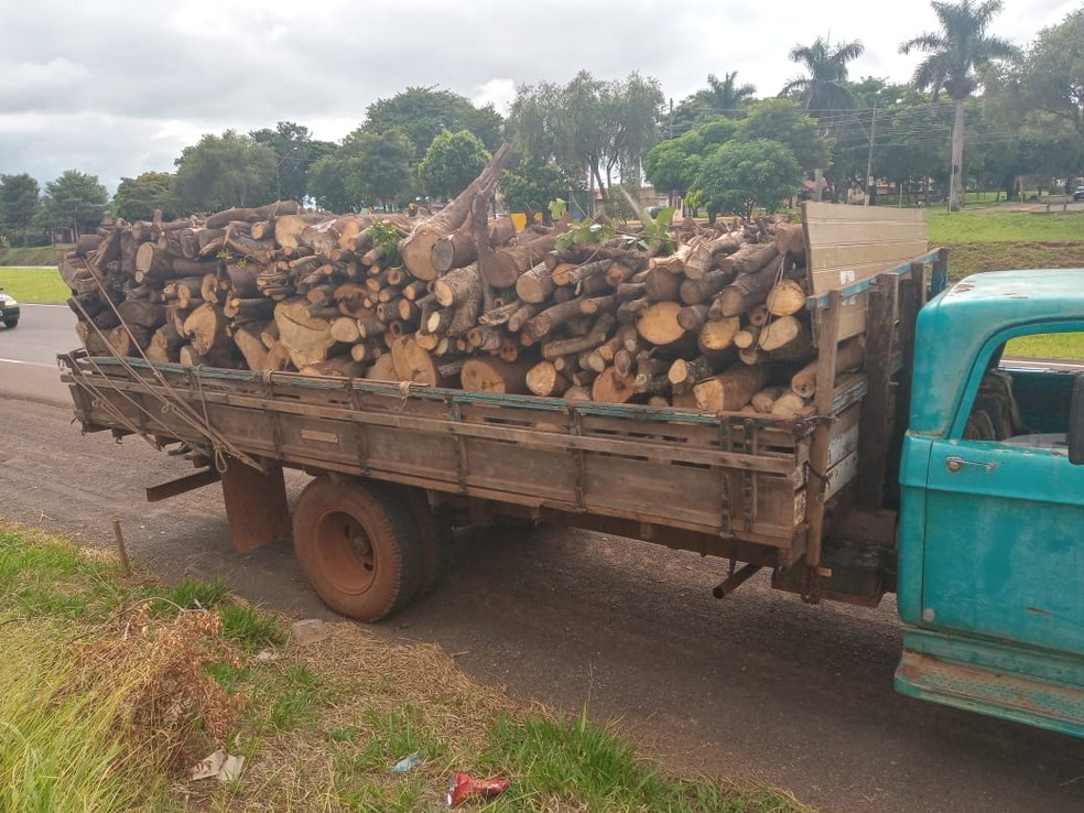 Polícia Ambiental autua motorista em mais de R$ 5,2 mil por transporte ilegal de madeira nativa em Macatuba  — Foto: Polícia Ambiental /Divulgação