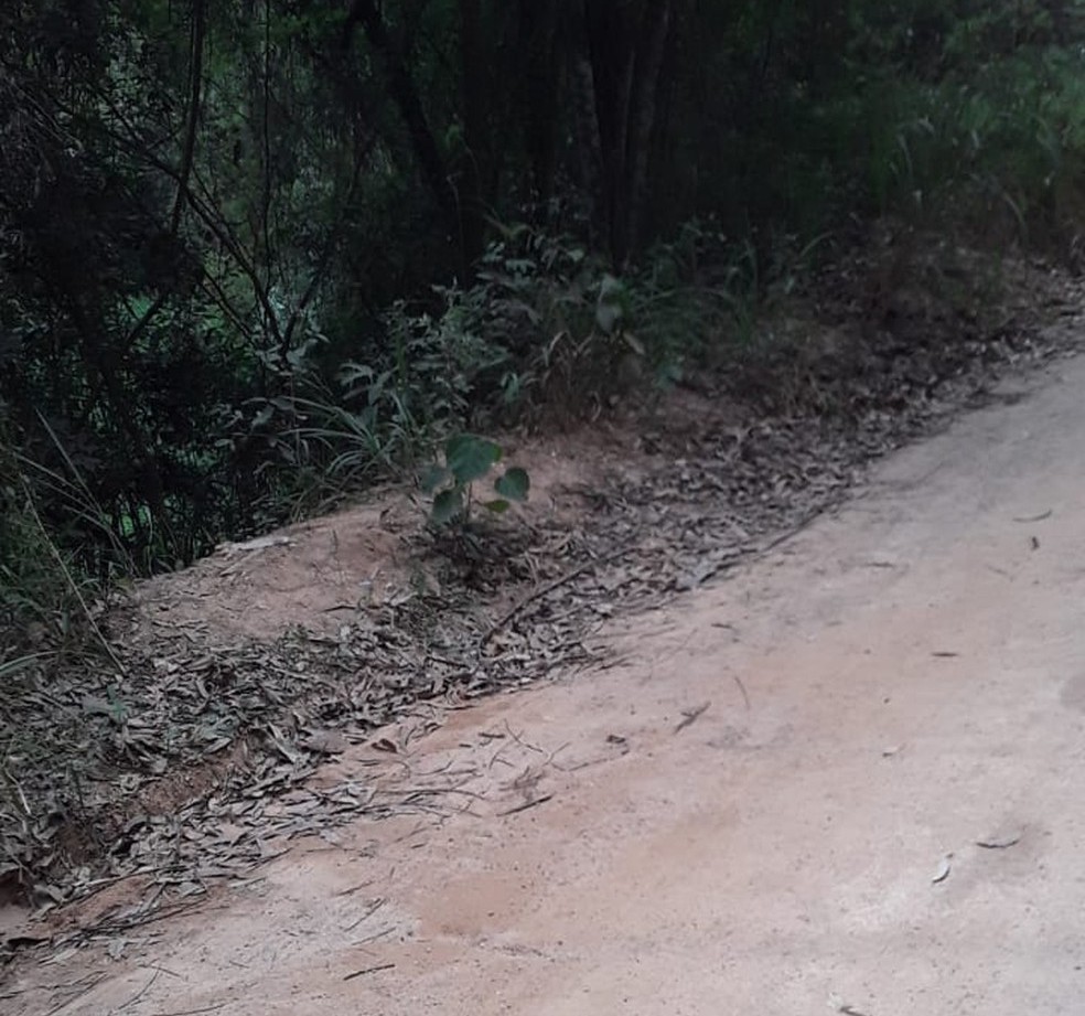 Corpo decapitado foi encontrado em Itupeva (SP) — Foto: Guarda Municipal/Divulgação