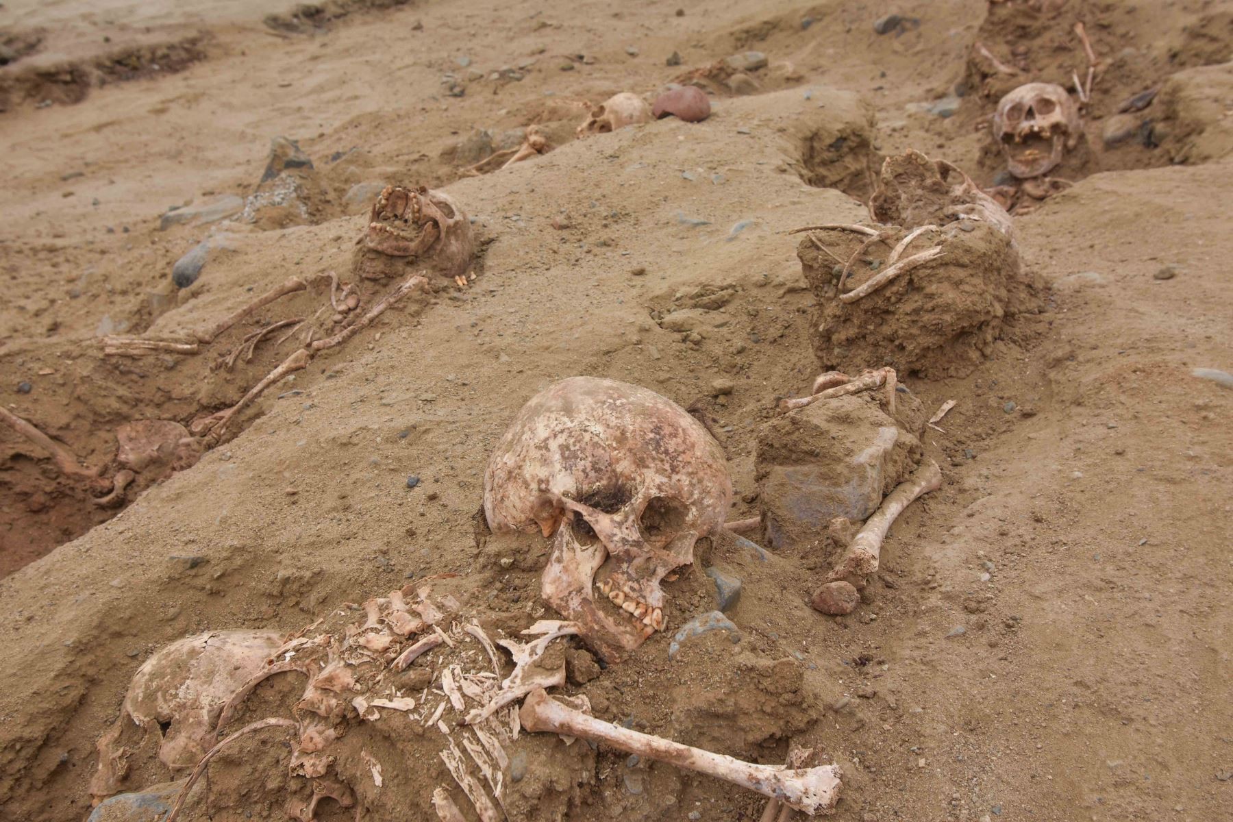 Ao todo, 302 esqueletos de crianças foram achados no túmulo pré-Inca (Foto: ANDINA/Huanchaco Archaeological Program (Pahuan).)