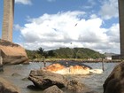 Baleia morta segue encalhada em Vila Velha e sem prazo para retirada