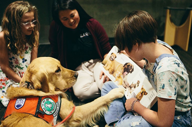 Cachorros motivam crianças a lerem mais, mostra estudo (Foto: Reprodução British Columbia University)