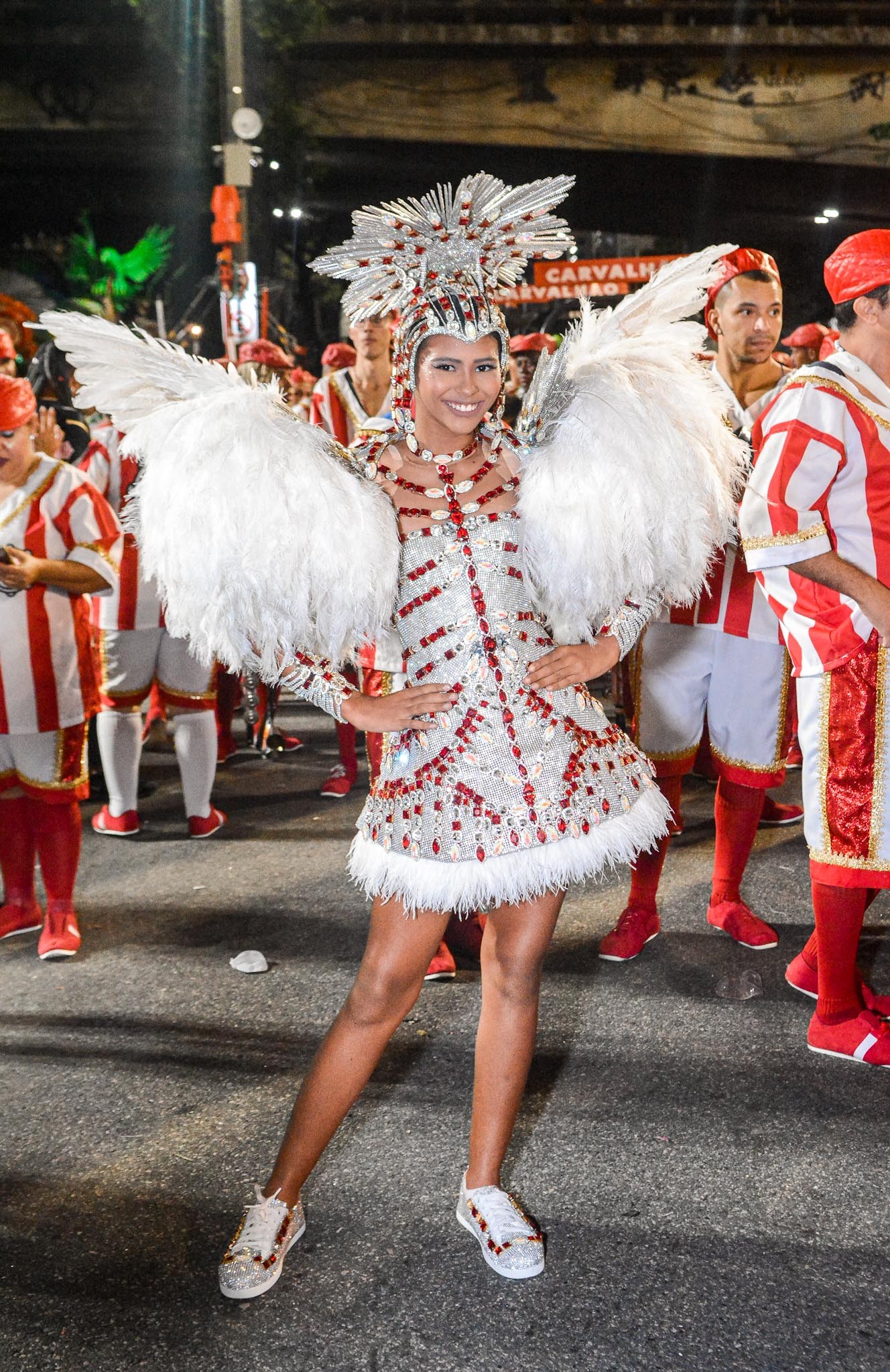 Butcher Entrance Aviation Carnaval Rio 2022: Saiba significados das fantasias das rainhas de bateria  da Série Ouro - Quem | Rio de Janeiro