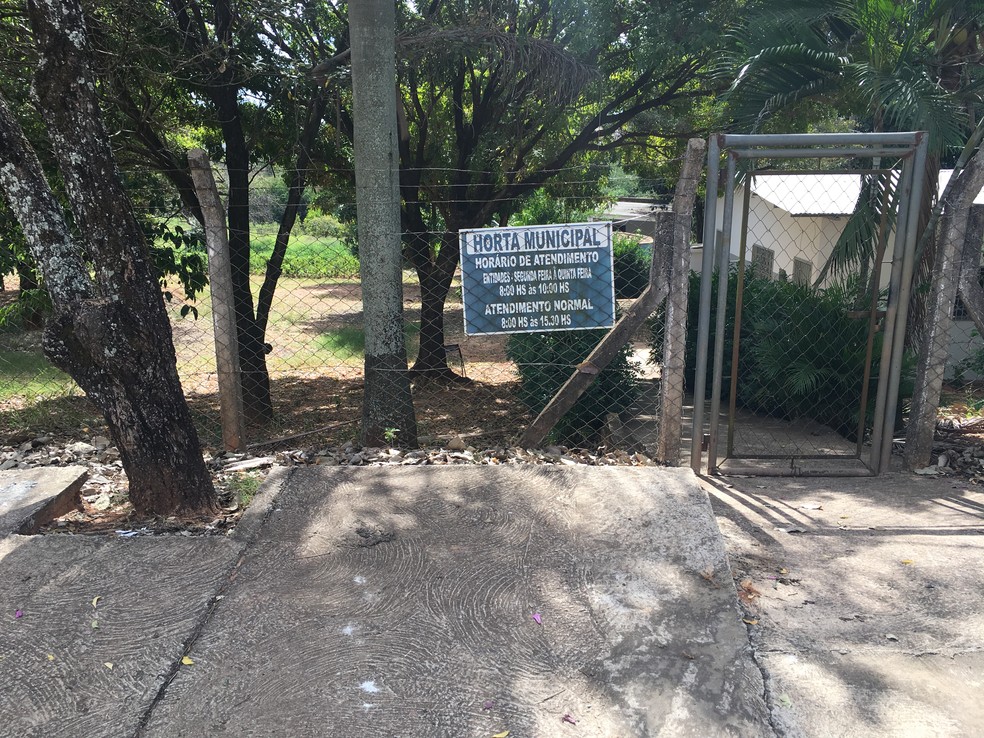 Horta Municipal de Presidente Prudente, no Jardim Carandá — Foto: Gelson Netto/G1