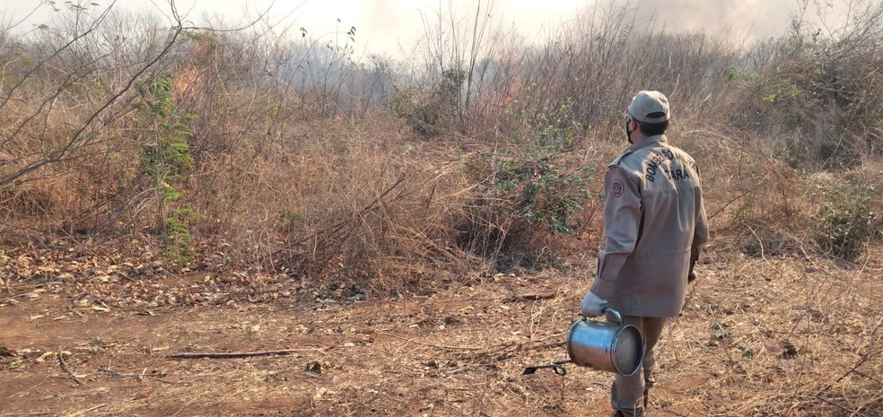 Incêndio atinge região de mata em Iguatu, no Ceará.  — Foto: Corpo de Bombeiros/Divulgação