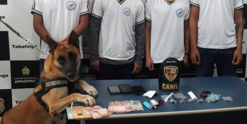 Cão farejador ajudou na apreensão de drogas com alunos em colégio da rede pública do Amazonas — Foto: Divulgação/PM-AM