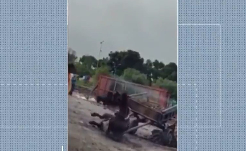 Cavalo não suporta peso da carroça e cai no chão, em Feira de Santana  — Foto: Reprodução/TV Subaé