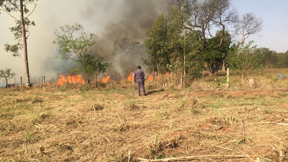 Incêndio atinge mata no distrito de Tibiriçá em Bauru — Foto: William Felício/Arquivo pessoal