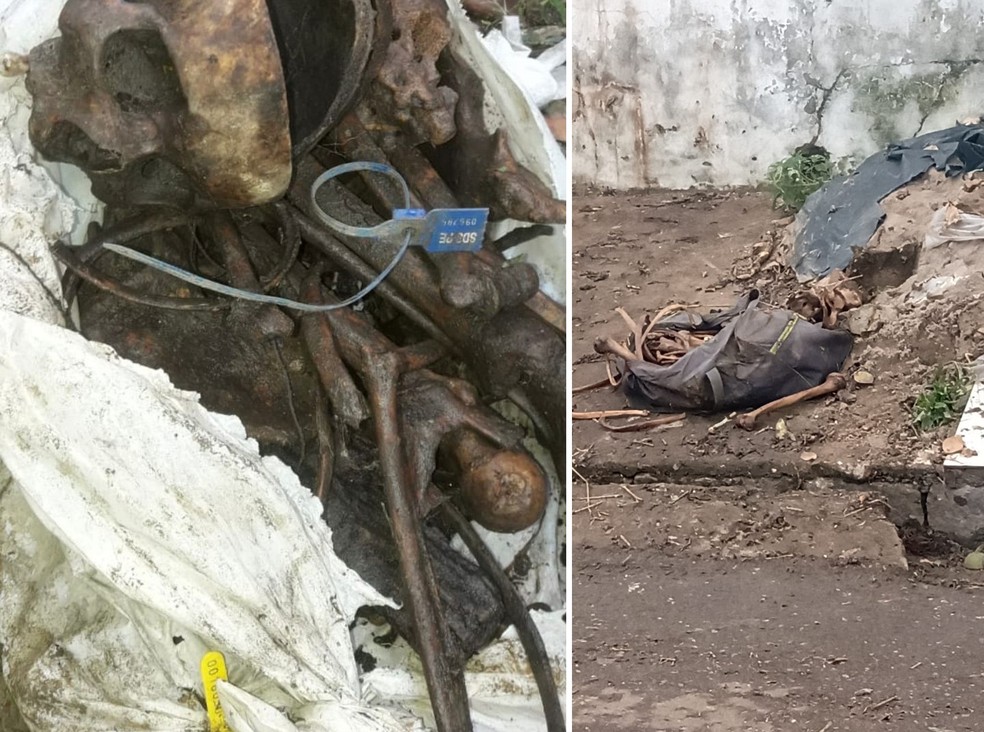Duas ossadas humanas foram achadas na mesma semana em São Lourenço da Mata, no Grande Recife — Foto: Reprodução/WhatsApp