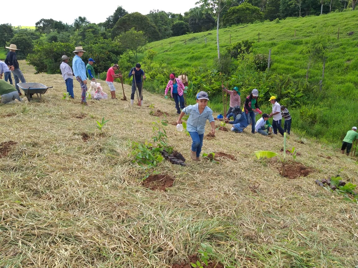 Voluntários plantam 600 mudas para ajudar na recuperação de nascente em Jaru, RO thumbnail