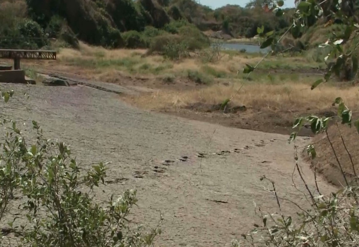 Vale dos Dinossauros de Sousa, na Paraíba, é reaberto à visitação após cinco meses fechado