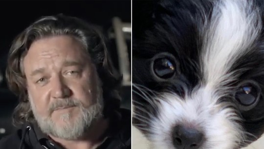 Cachorro de Russell Crowe é atropelado por caminhão e morre em seus braços