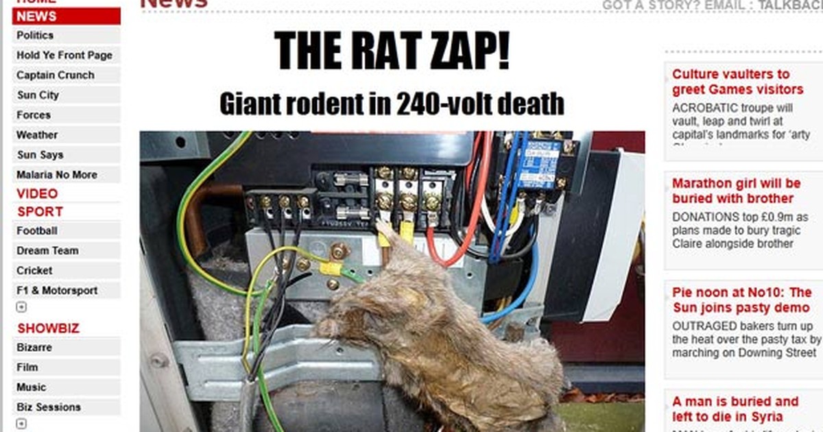 G1 - Captura de rato gigante volta a assustar moradores de Nova York -  notícias em Planeta Bizarro