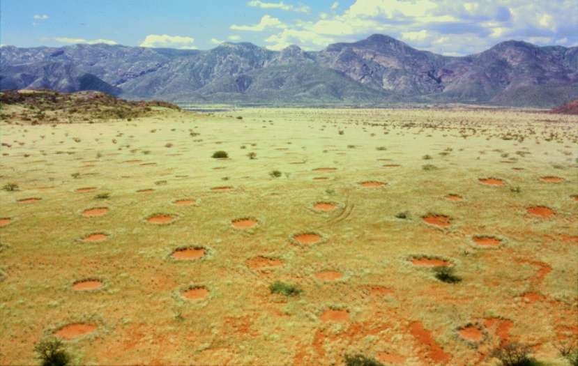 Os círculos de fada de Namíbia são um dos mistérios que a ciência ainda não conseguiu explicar (Foto: Wikimedia/Thorsten Becker)