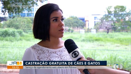 Castração gratuita de cães e gatos já podem ser agendadas em Palmas