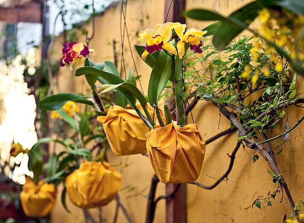 Quer deixar a sua festa ou o seu almoço no jardim ainda mais elegante? Embale vários vasos  de orquídeas em guardanapos de tecido grandes (Foto: Arquivo Casa e Jardim)