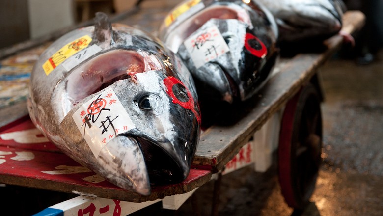 atum-azul-peixe-leilao-japao-Tsukiji (Foto: Dennis Tang/CCommons)