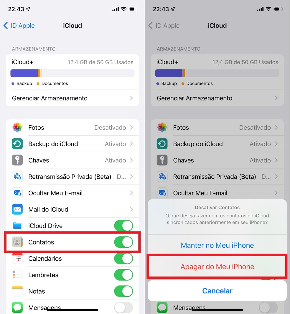 Desative a chave ao lado de "Contatos" e clique em "Apagar do Meu iPhone" para excluí-los de uma vez — Foto: Reprodução/Clara Fabro