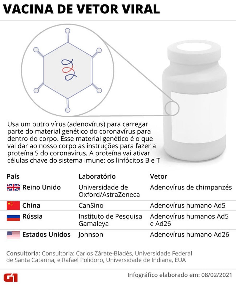 Infográfico mostra como funcionam vacinas de vetor viral contra o coronavírus — Foto: Anderson Cattai/G1