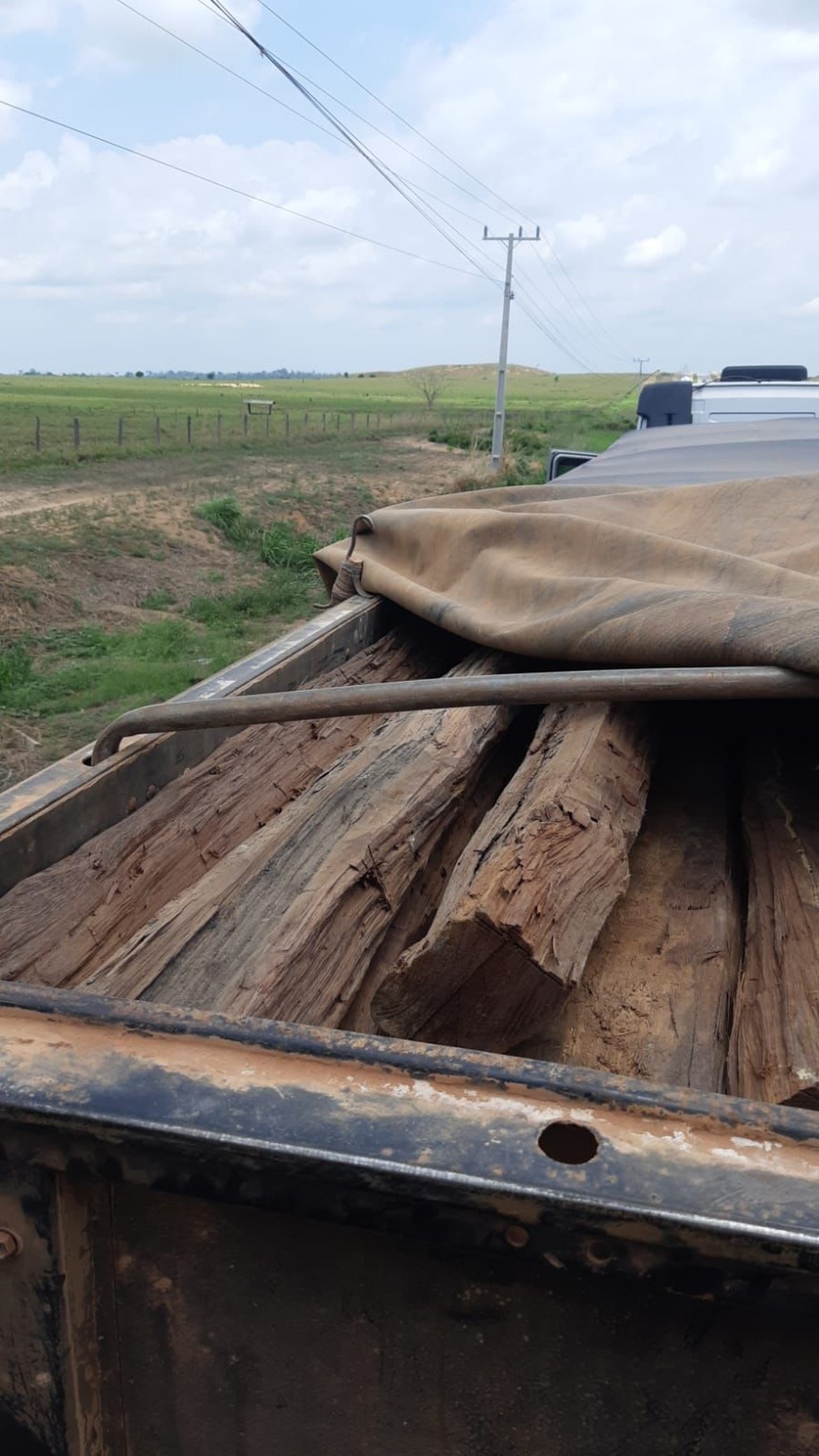 Apreensão de madeira sendo transportada ilegalmente ocorreu na BR-155, que interliga os municípios paraenses de Redenção e Marabá. — Foto: Polícia Rodoviária Federal