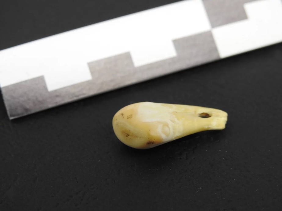 Pingente de dente de veado usado por mulher foi encontrado na caverna Denisova, no sul da Sibéria