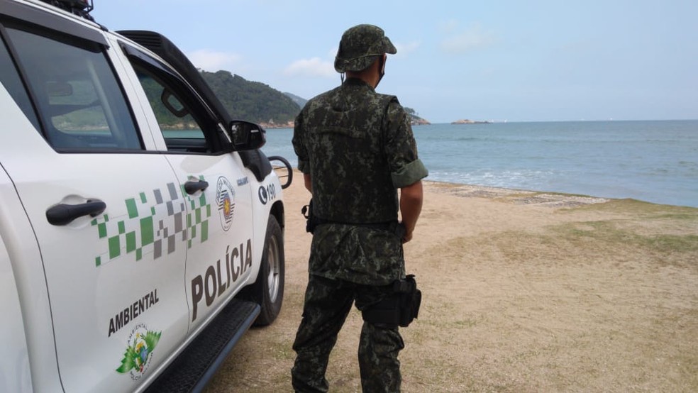 Opera&ccedil;&atilde;o Floresta Mais Segura foi realizada em todo o Estado de S&atilde;o Paulo pela Pol&iacute;cia Ambiental &mdash; Foto: Divulga&ccedil;&atilde;o/Pol&iacute;cia Ambiental 