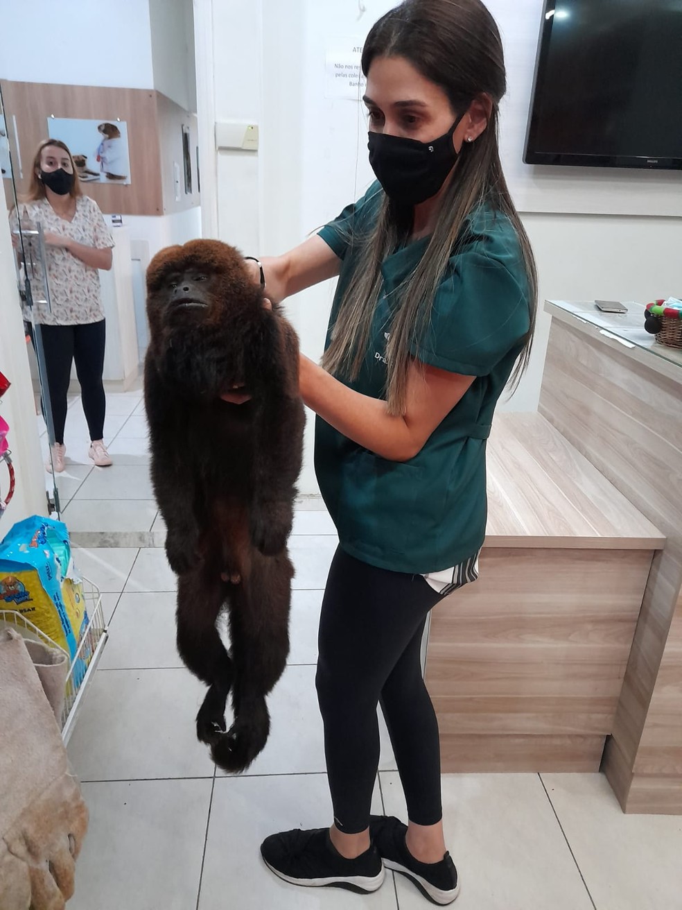 Macaco é capturado dentro de provador de loja em Pedralva — Foto: Corpo de Bombeiros