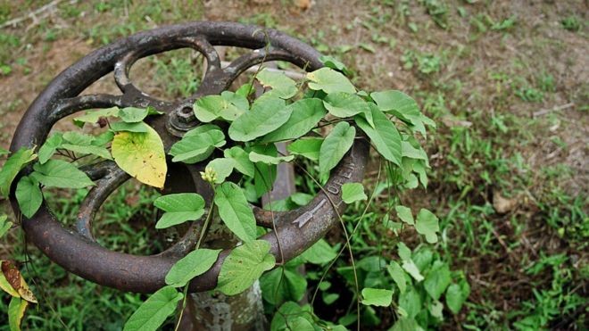 Depois do fim da Segunda Guerra Mundial, americanos foram para casa (Foto: Getty Images/BBC)