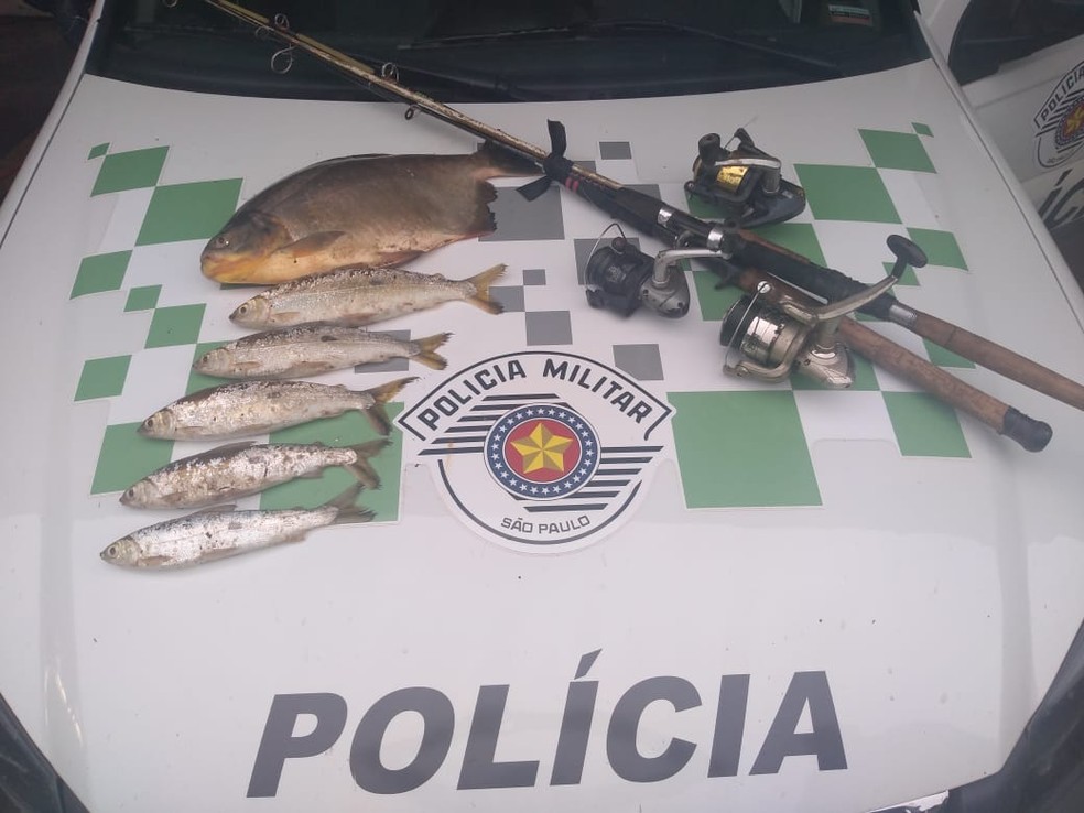 Fiscalização flagra pesca irregular no Rio Paranapanema — Foto: Polícia Ambiental 