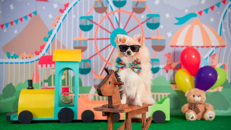 Famous dog on social networks wins photo essay as 'gift' for Children's Day in Itapetininga - Photo: Personal Archive / Andressa Queiroz Vieira 