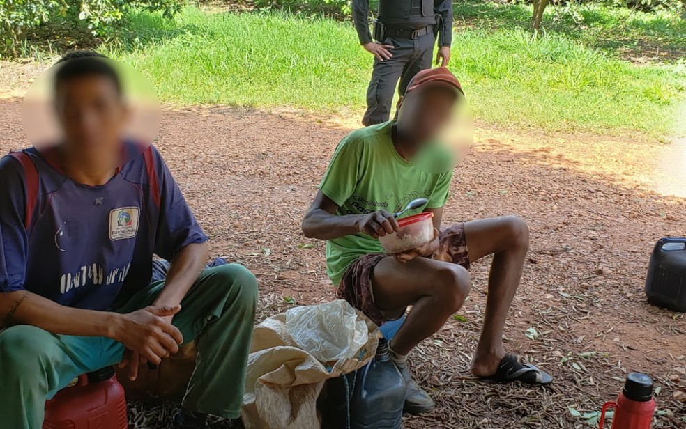 Trabalhadores resgatados pelo Ministério do Trabalho em fazenda de Pontalina — Foto: Divulgação/MTP