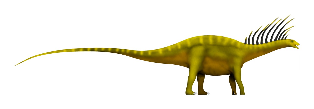 Reprodução digital do Bajadasaurus pronuspinax (Foto: Slate Weasel/ Wikimedia Commons/ CreativeCommons)