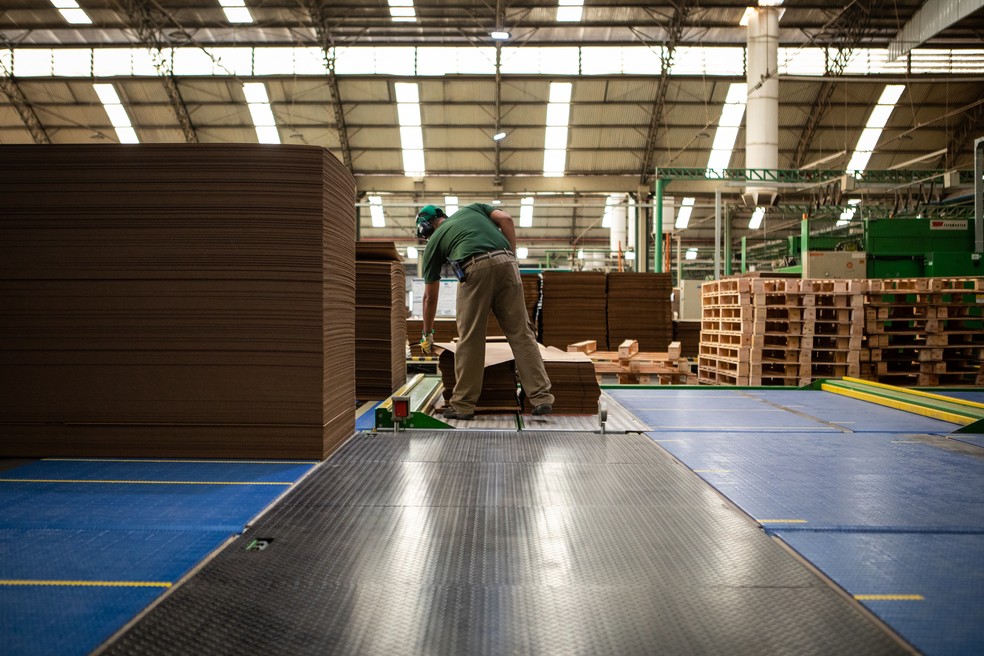 Fábrica de papelão ondulado para embalagens no interior de São Paulo. Segundo o IBGE, pela 1ª vez em 8 anos, produção industrial caiu em todos os 15 locais pesquisados — Foto: Fabio Tito/G1