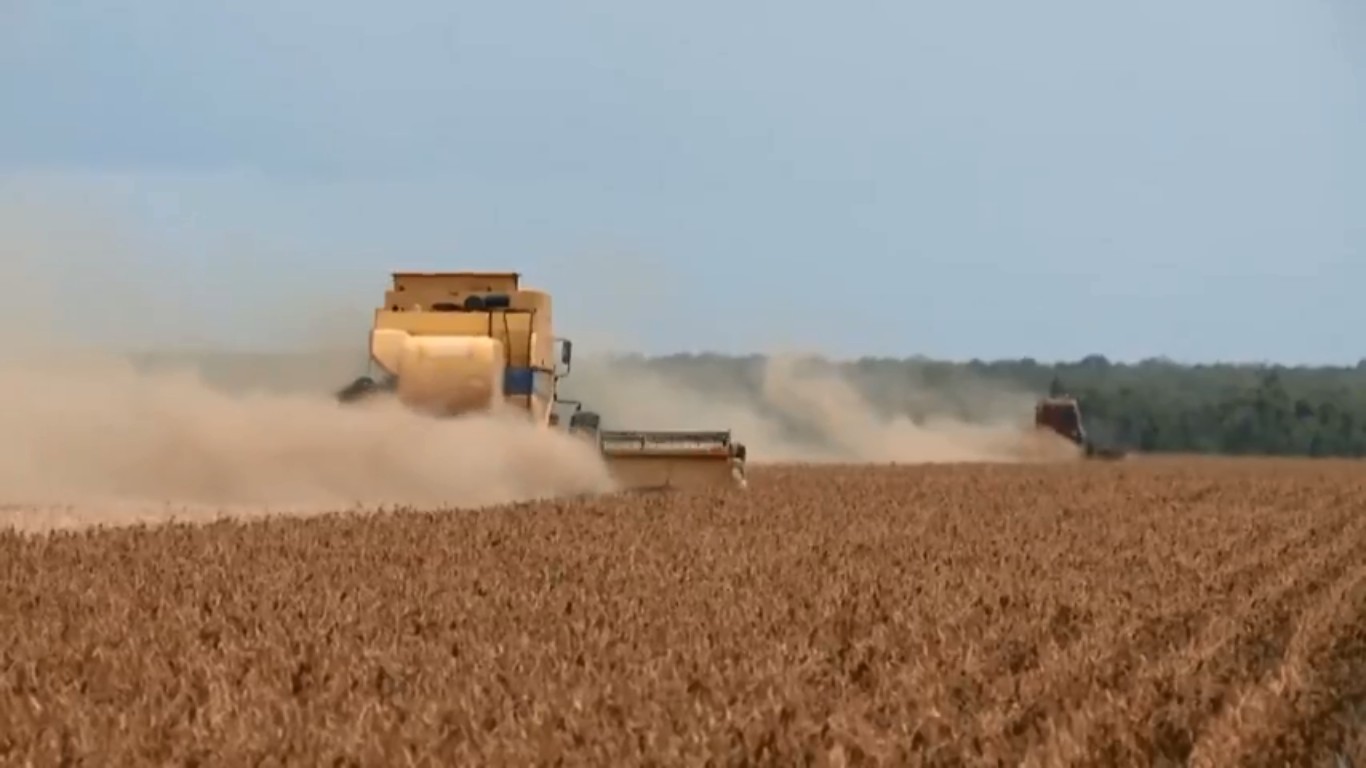 PIB do Piauí tem queda de 3,5%, maior que a média do Brasil, mas agronegócio cresceu 10,8%