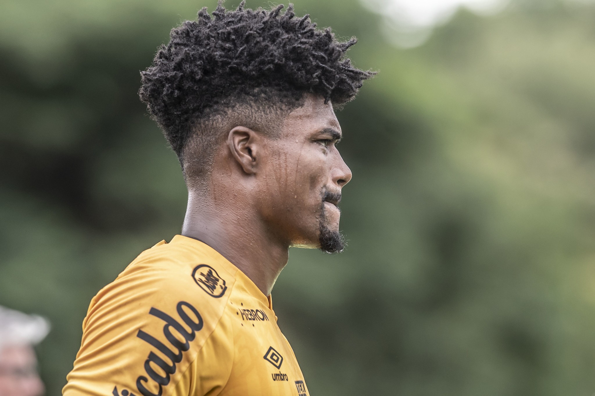 CPI da Manipulação no Futebol deve ouvir jogadores na próxima semana, diz relator
