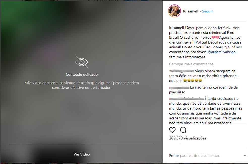 Luisa Mell posta mensagem indignada sobre agressão contra cachorro do PA (Foto: Reprodução/Instagram)