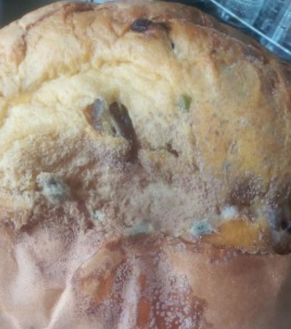 Panetones mofados são entregues a pessoas em situação de vulnerabilidade e beneficiários de programas sociais na Bahia — Foto: Reprodução/Redes Sociais