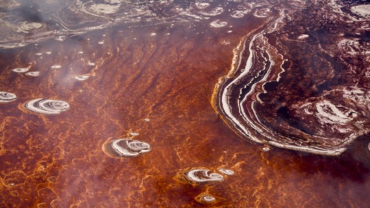 Lago vermelho transforma animais em 'pedras de sal' na Tanzânia