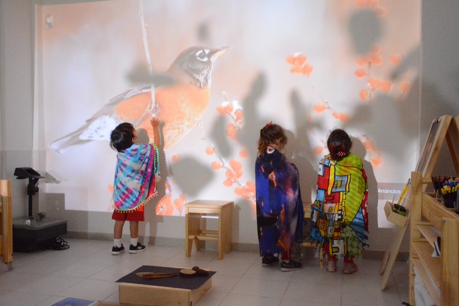 Em pequenos grupos, alunos da educação infantil do Miraflores investigam e interagem no novo ateliê de artes do colégio