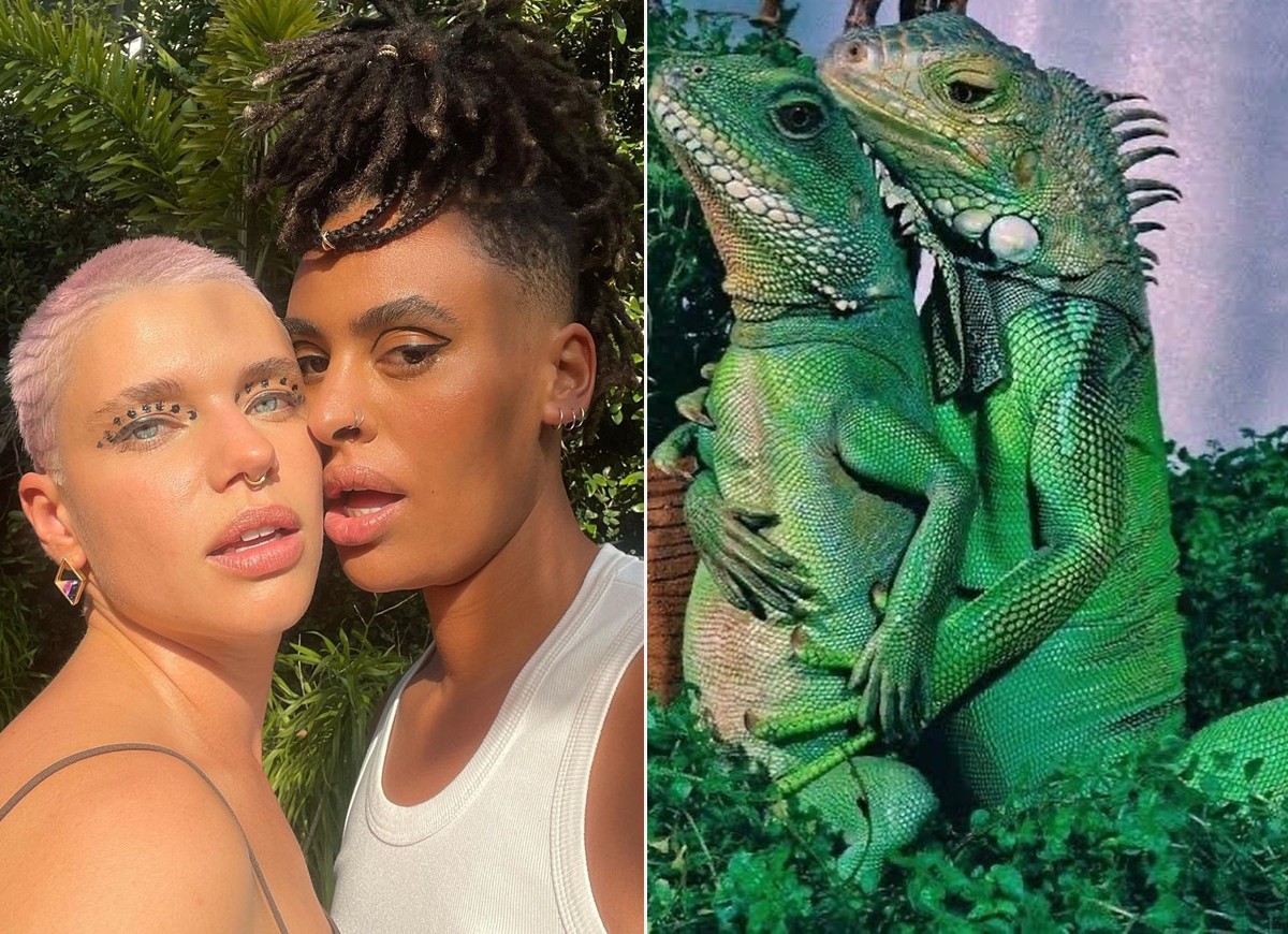 Bruna LInzmeyer diz que quer ser iguana com namorada Marta Supernova (Foto: Reprodução Instagram)